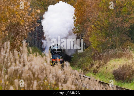 Tornado Lok Dampflok Nuttall Tunnel auf die ELR East Lancs Railway. Lancashire Stockfoto