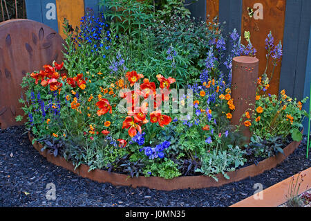 Nahaufnahme von einer bunten rot, orange und Blau Blumen Stockfoto