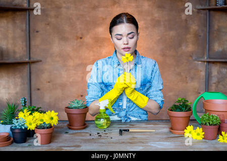 Wunderschöne junge weibliche Gärtner im tragen von Schutzhandschuhen, die gelbe Blume Stockfoto