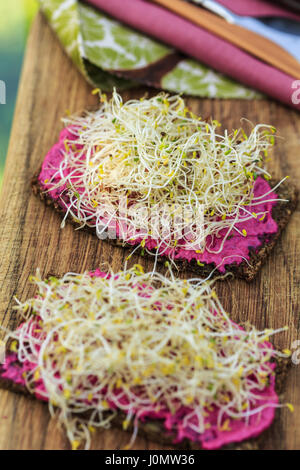 Roggenbrot mit Sprossen und rote-Bete-Creme Stockfoto