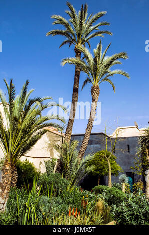 Marrakesch-geheime Garten Palmen exotische Garten Stockfoto