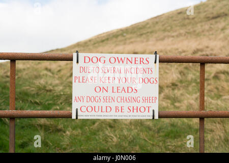 Hunde nicht auf führt jagen Schafe Warnschild dort ihre Rechtschreibfehler Stockfoto