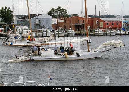 Skipjacks Hilda M. bereit (1) und Rebecca T. Ruark (29) immer unterwegs für Annuual Skipjack Rennen in Cambridge, MD Stockfoto