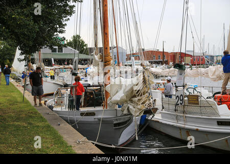 Skipjacks Hilda M. bereit (1) und Rebecca T. Ruark (29) vor dem jährlichen Skipjack-Rennen in Cambridge, MD Stockfoto