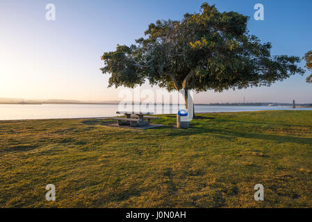 Am frühen Morgen bei Krone Ufer Point Park mit Blick auf Mission Bay im Hintergrund. San Diego, Kalifornien, USA. Stockfoto