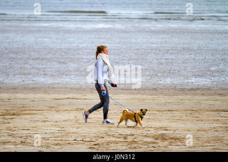 St. Andrews, Schottland. 14. April 2017. Großbritannien Wetter. Kälte mit Licht Wind und ruhiger See an der Küste als Morgen Spaziergänger und Jogger genießen umfangreiche Sand der Weststrand. Kredite; MediaWorldImages/AlamyLiveNews Stockfoto