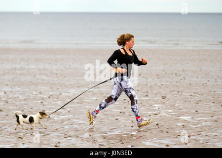 Frau läuft mit Hund am St Andrews Strand, Schottland, Großbritannien. Kalt mit leichtem Wind und ruhigem Meer an der Küste, während morgendliche Wanderer, Hundewanderer und Jogger den ausgedehnten Sand des Weststrandes genießen. Stockfoto