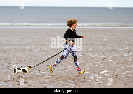 Frau läuft mit Hund am St Andrews Strand, Schottland, Großbritannien. Kalt mit leichtem Wind und ruhigem Meer an der Küste, während morgendliche Wanderer, Hundewanderer und Jogger den ausgedehnten Sand des Weststrandes genießen. Stockfoto