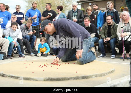 Tinsley Green, Sussex, UK. 14. April 2017. Die Marmor-Weltmeisterschaft 2017 erfolgt an der Greyhound Pub in Tinsley Green, wie es jeden Karfreitag seit 1932 getan hat. Bildnachweis: Roland Ravenhill/Alamy Live-Nachrichten Stockfoto