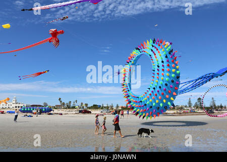 Adelaide, Australien. 15. April 2017. Ein Seeigel-Kite angezeigt wird, auf dem Adelaide International Kite Festival am Semaphor-Strand, der aus einer bunten Vielfalt an Tierformen und Meeresbewohner durch Drachenflieger aus über AustraliaCredit besteht: Amer Ghazzal/Alamy Live-Nachrichten Stockfoto