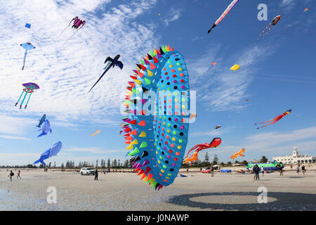 Adelaide, Australien. 15. April 2017. Ein Seeigel-Kite angezeigt wird, auf dem Adelaide International Kite Festival am Semaphor-Strand, der aus einer bunten Vielfalt an Tierformen und Meeresbewohner durch Drachenflieger aus über AustraliaCredit besteht: Amer Ghazzal/Alamy Live-Nachrichten Stockfoto