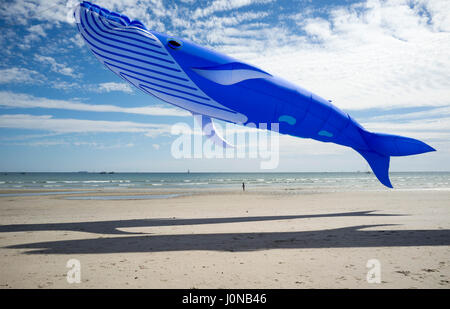 Adelaide, Australien. 15. April 2017. Großer Blauwal Kite gehört eine bunte Anzeige von Drachen in einer Vielzahl von Tierformen und Meeresbewohner durch Drachenflieger aus quer durch Australien auf dem Adelaide International Kite Festival am Semaphor Strand Adelaide Credit: Amer Ghazzal/Alamy Live-Nachrichten Stockfoto