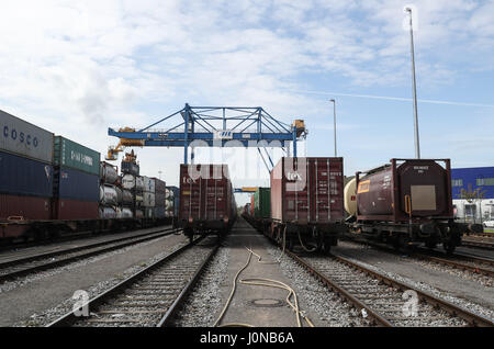 (170415)--DUISBURG, 15. April 2017 (Xinhua)--Foto am 11. April 2017 zeigt Züge in Duisburg Intermodal Terminal (DIT) in Duisburg, Westdeutschland. Da "YUXIN'OU" (Chongqing-Xinjiang-Europe) Eisenbahnlinie in 2011 zum Einsatz kam, sind China-Europa Güterzug Dienstleistungen mit einer wachsenden Zahl der transkontinentalen Eisenbahnlinien und zunehmende Frachtaufkommen auf der alten Seidenstraße wichtig geworden. (Xinhua/Shan Yuqi) (Yy) Stockfoto