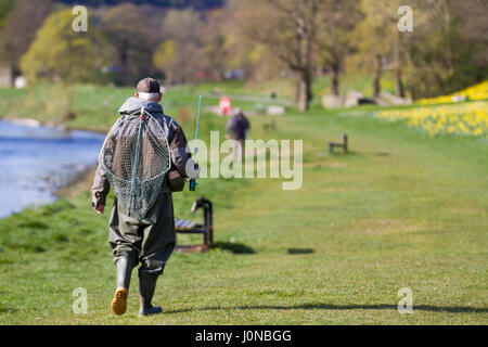 Aberdeeen, Schottland.  Großbritannien Wetter. 15. April 2017.  Bright & sonniger Frühlingstag im Riverside an den Ufern des Flusses Dee. North Bank River Dee Aberdeen City fließt ostwärts in Richtung Hafen sind die umfangreichen Displays von Narzissen auf dieser Strecke angrenzenden Riverside Road in der Nähe der alten Brücke Dee. Kredite; MediaWorldImages/AlamyLiveNews. Stockfoto