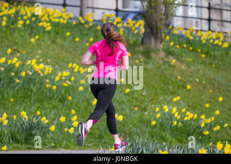 Aberdeeen, Schottland.  Großbritannien Wetter. 15. April 2017.  Bright & sonniger Frühlingstag im Riverside an den Ufern des Flusses Dee. North Bank River Dee Aberdeen City fließt ostwärts in Richtung Hafen sind die umfangreichen Displays von Narzissen auf dieser Strecke angrenzenden Riverside Road in der Nähe der alten Brücke Dee. Kredite; MediaWorldImages/AlamyLiveNews. Stockfoto