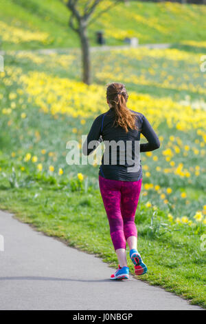 Aberdeeen, Schottland.  Großbritannien Wetter. 15. April 2017.  Bright & sonniger Frühlingstag im Riverside an den Ufern des Flusses Dee. North Bank River Dee Aberdeen City fließt ostwärts in Richtung Hafen sind die umfangreichen Displays von Narzissen auf dieser Strecke angrenzenden Riverside Road in der Nähe der alten Brücke Dee. Kredite; MediaWorldImages/AlamyLiveNews. Stockfoto