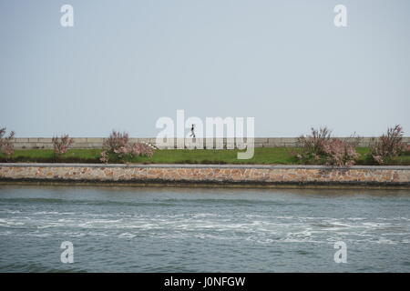 Blick auf pellestrina von der Lagune. Stockfoto