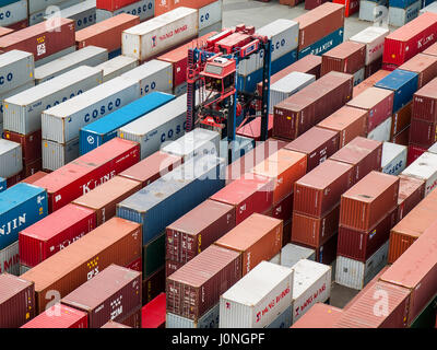 CTT Container Terminal Tollerort im Hafen von Hamburg, Deutschland. Stockfoto