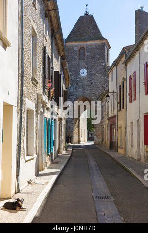 Mittelalterlicher Glockenturm aus dem 13. Jahrhundert, Hund in leerer Straße in der alten bastide befestigten Stadt Duras in Aquitanien, Frankreich Stockfoto