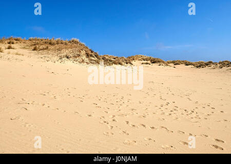 Fußspuren auf den Sanddünen der Dünen von Westhoek, La Panne, Belgien. Stockfoto