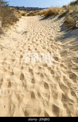 Fußspuren auf den Sanddünen der Dünen von Westhoek, La Panne, Belgien. Stockfoto