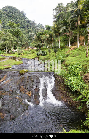 Kaskadierende Bach in der Nähe der Santa Rosa Thermal Spa in der Nähe von Santa Rosa de Cabal in Kolumbien. Stockfoto