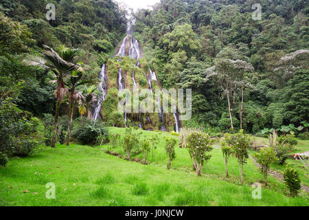 Der Dschungel umgibt den Wasserfall in der Nähe der Santa Rosa Thermal Spa in Santa Rosa de Cabal in Kolumbien. Stockfoto