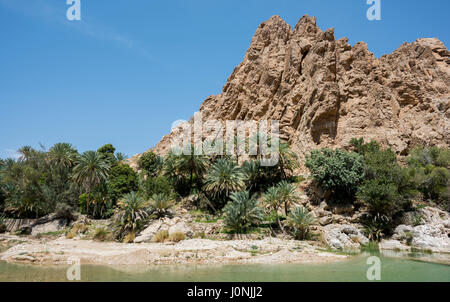 Malerischer Blick auf die Hajar-Berge in Oman, mit trockenem Gelände mit einem Fluss und pulsierenden Palmen, die eine beeindruckende Wüstenoase bilden Stockfoto