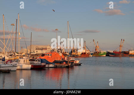 Gesamtansicht über Kilmore Quay Hafen, Co Wexford, Südirland. Stockfoto