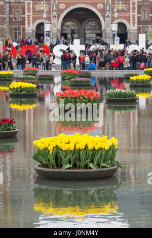 Blumen im Teich vor dem Rijksmuseum, mit vielen touristischen und um Amsterdam-Zeichen. Stockfoto