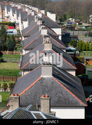 Auf der Suche nach unten Dächer auf Häuserzeile in South Queensferry Schottland, Vereinigtes Königreich Stockfoto