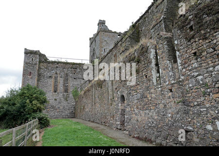 Dunbrody Abbey, ein ehemaliges Zisterzienserkloster in County Wexford, Irland (Eire). Stockfoto