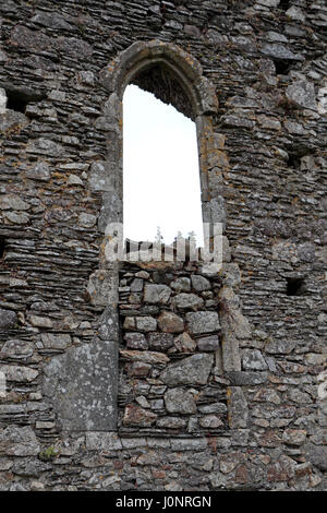 Fensterdetail in Dunbrody Abbey, ein ehemaliges Zisterzienserkloster in County Wexford, Irland (Eire) teilweise ausgefüllt. Stockfoto