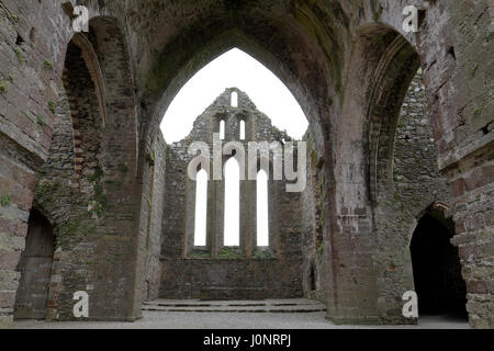 Dunbrody Abbey, ein ehemaliges Zisterzienserkloster in County Wexford, Irland (Eire). Stockfoto