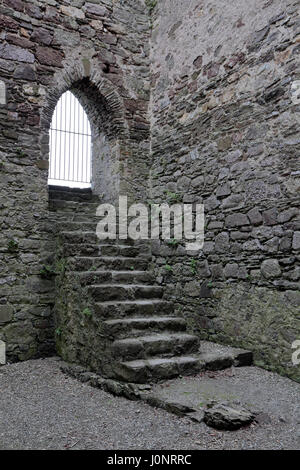 Eine Steintreppe in Dunbrody Abbey, ein ehemaliges Zisterzienserkloster in County Wexford, Irland (Eire). Stockfoto