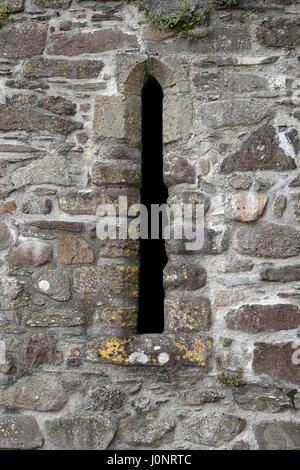 Fensterdetail in Dunbrody Abbey, ein ehemaliges Zisterzienserkloster in County Wexford, Irland (Eire). Stockfoto