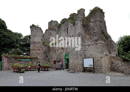 Dunbrody Abbey, ein ehemaliges Zisterzienserkloster in County Wexford, Irland (Eire). Stockfoto