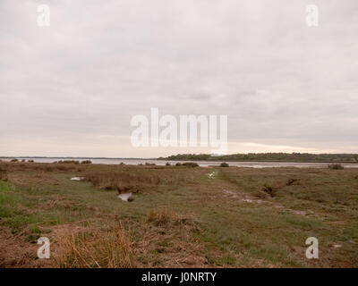 Bei Ebbe Sommer Himmel Einbruch der Dunkelheit grau Wolken Stimmung und Rottönen mit River fließt in Wivenhoe Essex uk England Stockfoto