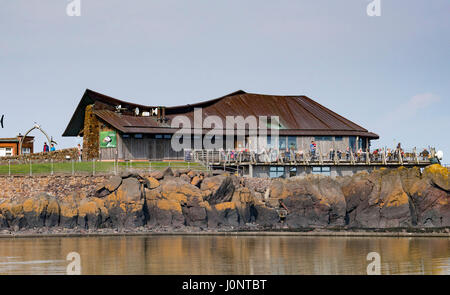 Schottische Seabird Centre in North Berwick, Schottland, Vereinigtes Königreich Stockfoto