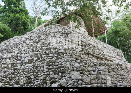 alte Stein-Struktur bei Coba Maya-Ruinen, Mexiko Stockfoto