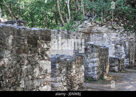 Relikte der alten Architektur aus Stein mit grünen Bäumen Hintergrund bei Coba Maya-Ruinen, Mexiko Stockfoto