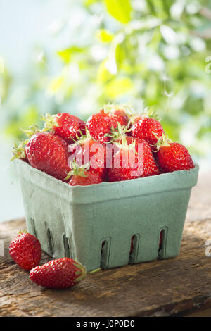 Körbchen frische Erdbeeren erschossen am sonnigen Sommertag Stockfoto
