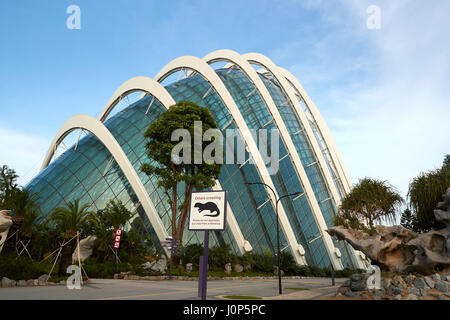 Die Flowerdome Gardens By The Bay, Singapur. Stockfoto