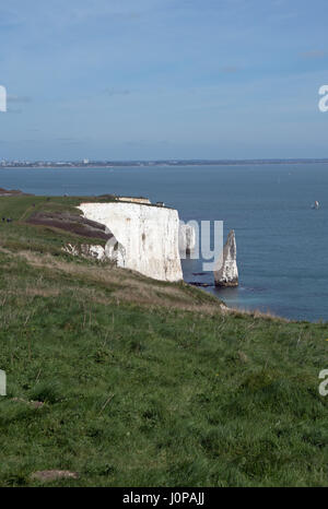 Die Pinnacles, Studland, Dorset Stockfoto