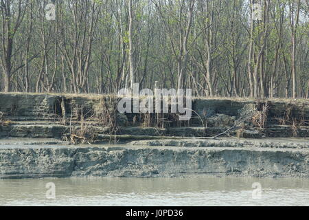 Flusserosion droht das Grün im Nijhum Dwip National Park in Hatia. Noakhali, Bangladesch Stockfoto