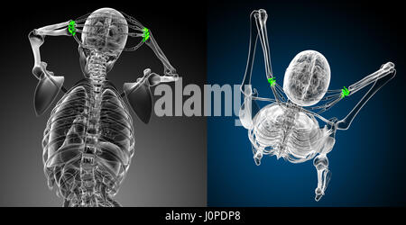 3D Rendering medizinische Illustration des carpal Knochen Stockfoto