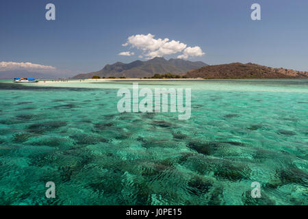 Eindrücke von Pangabatang Insel, Flores, Indonesien Stockfoto