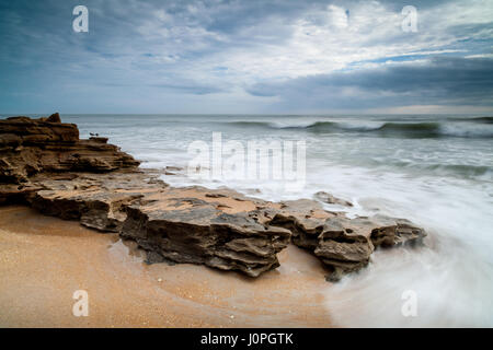 Morgenlicht auf Coquina Felsen im Washington Eichen Gärten State Park in Palm Coast, FL.  Die Rock out-Anbau in diesem Bild besteht aus Coquina Felsen, die eine Kombination aus Muscheln und Sand zusammen mit Calcit verbunden ist.  Dieser Stein wurde für den Bau in der Gegend seit Jahrhunderten verwendet.  Washington Eichen Gardens State Park liegt südlich von St. Augustine in der Stadt von Palm Coast.  Das Anwesen war einst im Besitz ein entfernter Verwandter von George Washington.  Die Gärten, gelegen zwischen der Küste und den Fluss Mantanzas wurden von Louise und Owen Young gegründet. Stockfoto