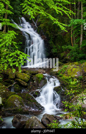 Maus Creek Falls entleeren in Big Creek innerhalb des Great Smoky Mountain National Park. Big Creek fließt ostwärts durch den nordwestlichen Bereich des Parks. Die Fälle selbst können sich über einen 2 km langen Weg, folgt in der Regel Big Creek erreicht werden, und hat mehrere spektakuläre Aussicht auf die Berge. Stockfoto