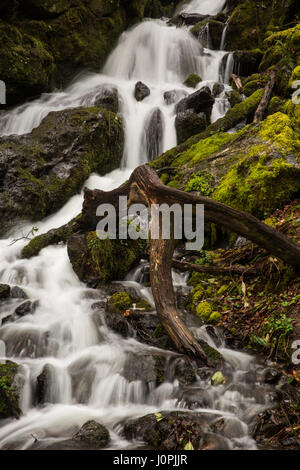 Ein Wasserfall nach unten kaskadieren Moos Felsen bedeckt. Stockfoto